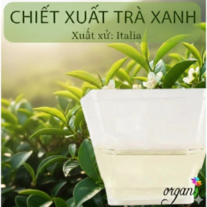 CHIẾT XUẤT TRÀ XANH (GREENTEA EXTRACT - ITALIA)