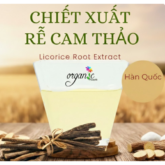 CHIẾT XUẤT CAM THẢO (HÀN QUỐC)