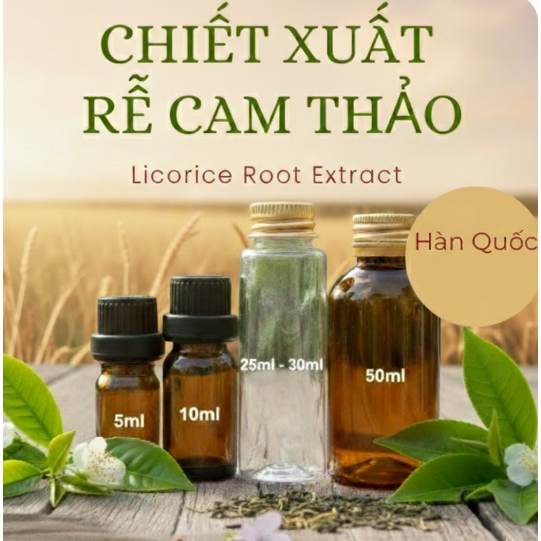 CHIẾT XUẤT CAM THẢO (HÀN QUỐC)