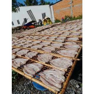 Khô Cá Lóc 500g Lóc Cửng 500g - 3 Nắng Lạt Lợ - Cá Tươi Tuyển Chọn - Hút Chân Không - Tặng Mắm Me - Đặc Sản Miền Tây