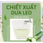 CUCUMBER FRUIT EXTRACT (CHIẾT XUẤT DƯA LEO - PHÁP)