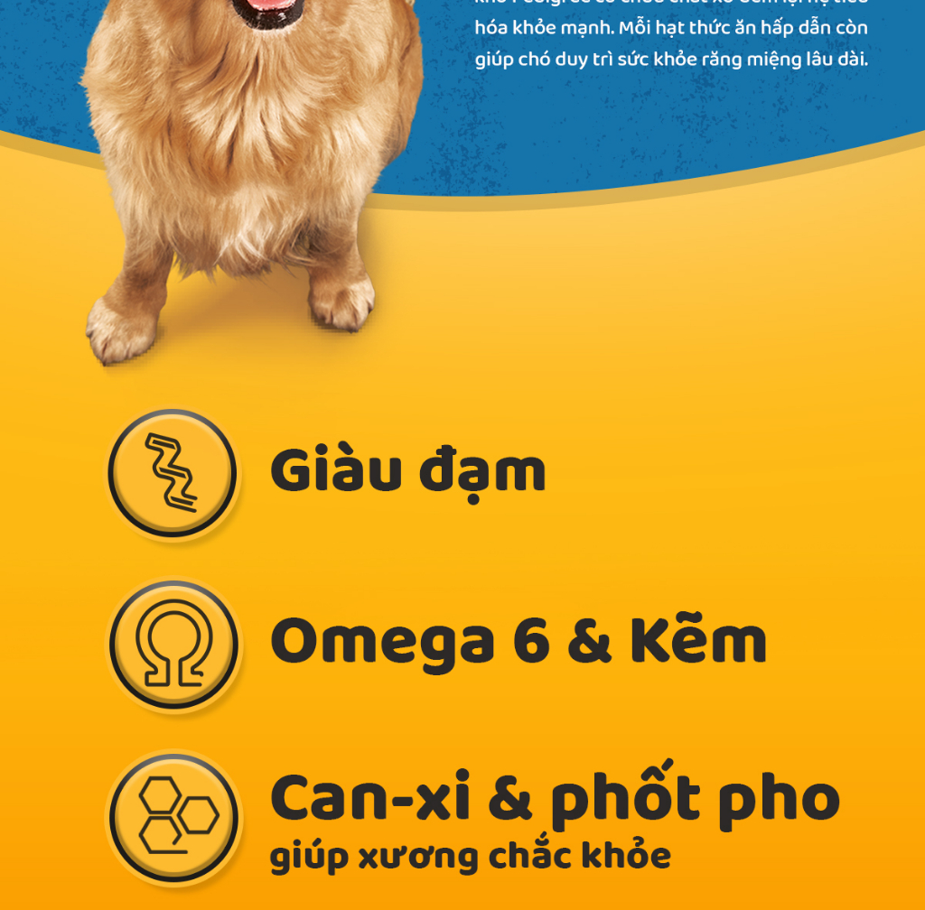 Mô tả Thức Ăn Dạng Hạt Khô Cho Chó Lớn PEDIGREE Vị Gà Và Rau Củ, 1.5kg - 3