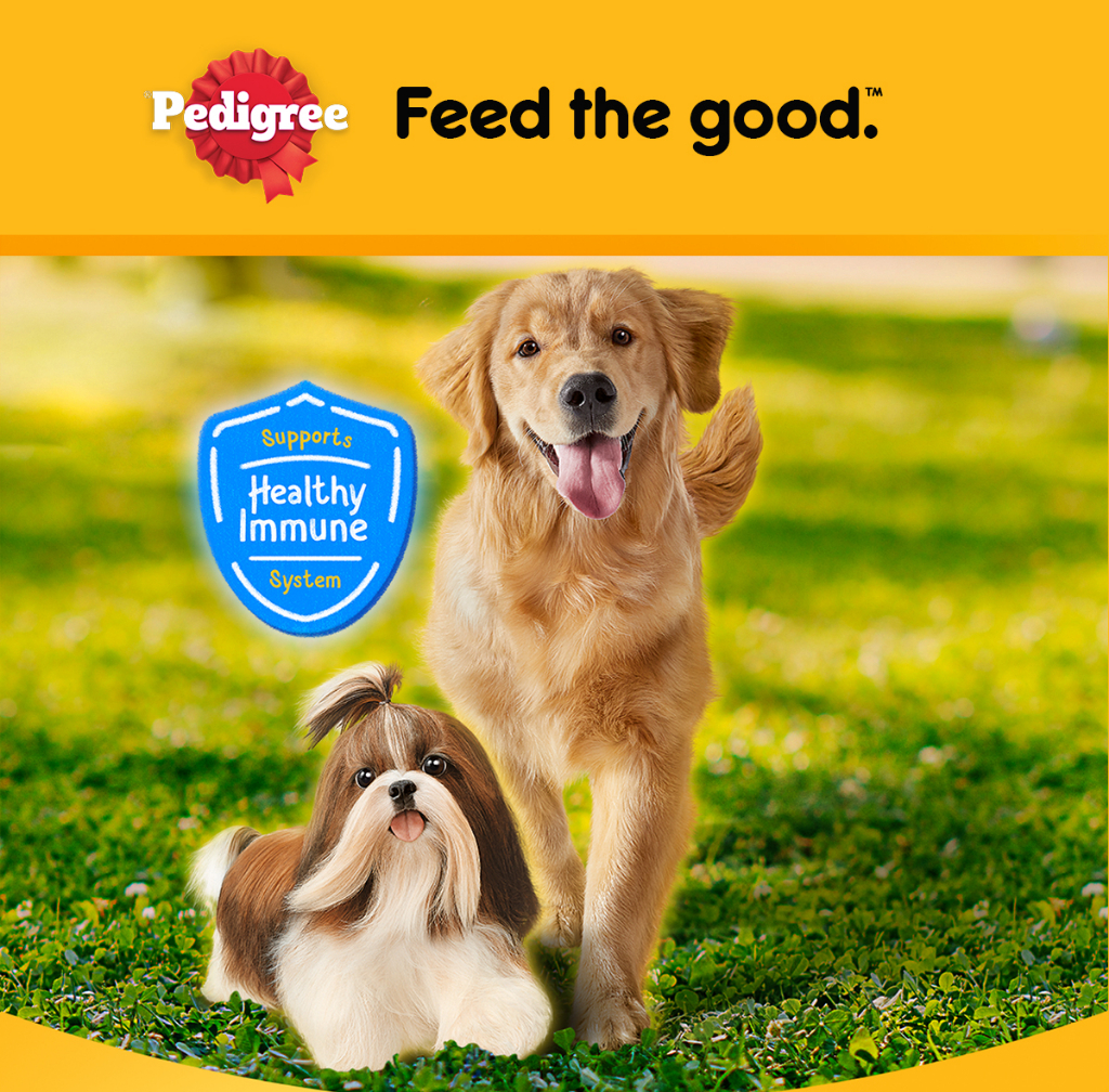 Mô tả Thức Ăn Dạng Hạt Khô Cho Chó Lớn PEDIGREE Vị Gà Và Rau Củ, 1.5kg - 1