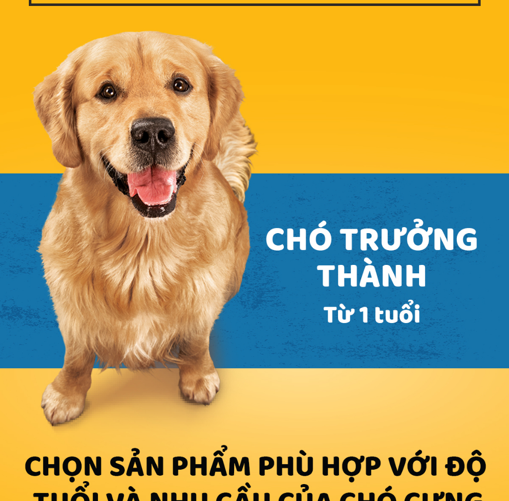 Mô tả Thức Ăn Dạng Hạt Khô Cho Chó Lớn PEDIGREE Vị Gà Và Rau Củ, 1.5kg - 6