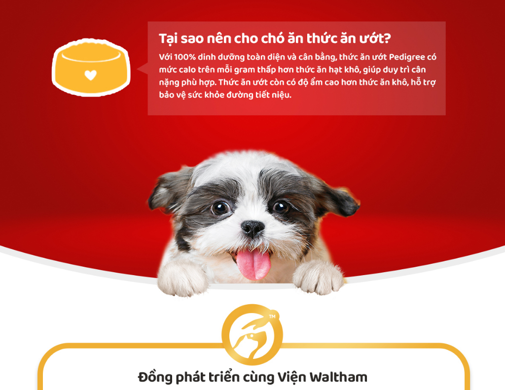 Mô tả Thức Ăn Cho Chó Con Dạng Sốt PEDIGREE NutriDefence - Vị Bò, Trứng và Rau (80g, 12 Gói) - 3