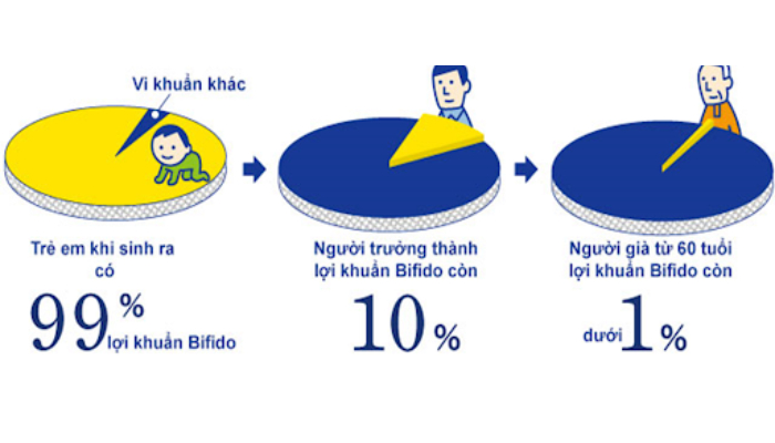 Mô tả Tăng sức đề kháng - Men vi sinh Bifina Nhật Bản - Loại R - Lẻ 10 gói (không có hộp) - 1