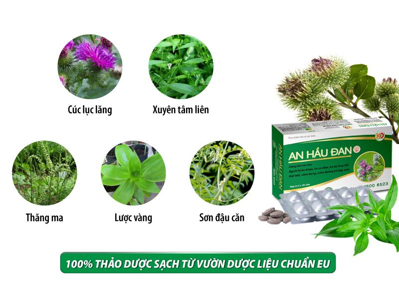 Mô tả AHĐ-Viên Ngậm Ho Thảo Dược An Hầu Đan Zlove Giảm viêm họng hạt, viêm amidan, khàn tiếng, ho có đờm (Hộp 20 viên) - 3