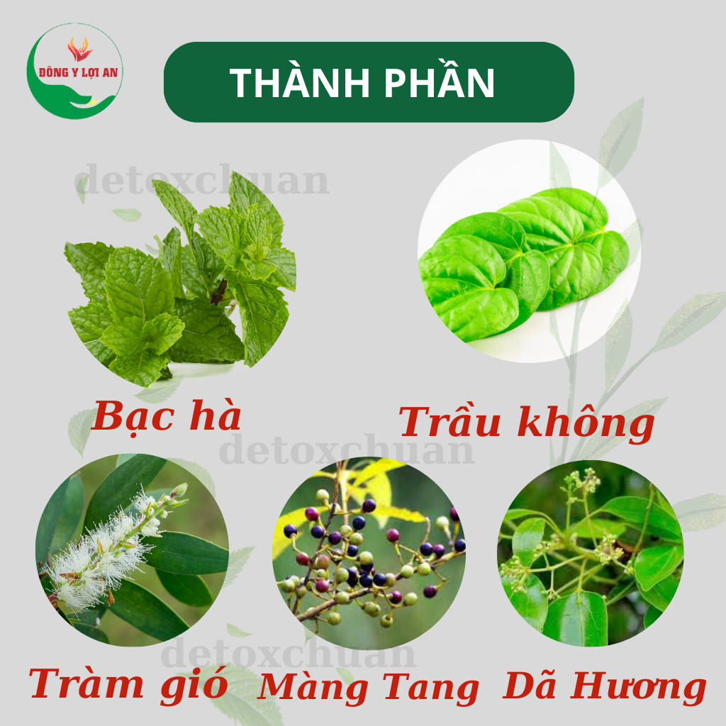 Mô tả Tinh Dầu Lợi An Bôi Ho, Sổ Mũi, Khò Khè Cho Bé, Date Mới - 3