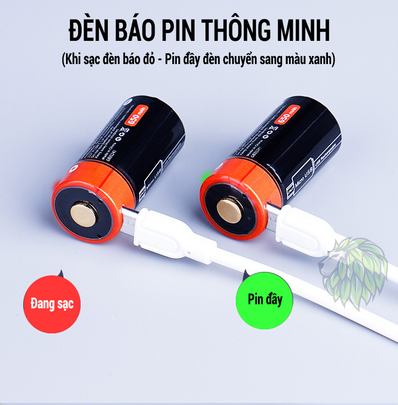 Pin Sạc CR123A 16340 USB Doublepow 650mAh 3.7V Dung Lượng Thực Dùng Cho ...