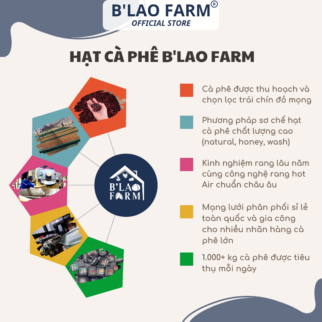 Mô tả Cà phê ROBUSTA rang mộc nguyên chất B'Lao Farm gu truyền thống vị đắng đậm dành cho pha máy và pha phin Túi giấy R1 - 1