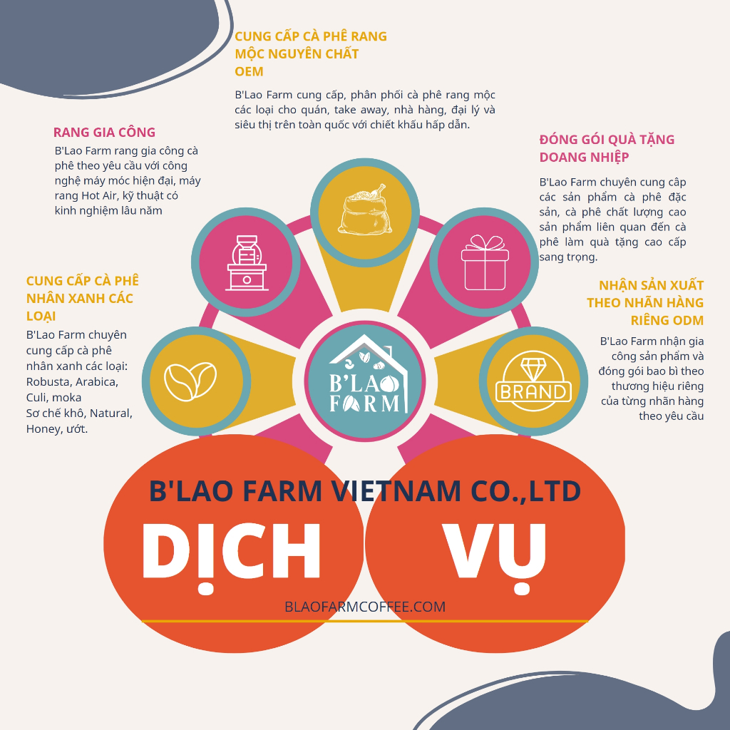 Mô tả Cà phê ROBUSTA HONEY ĐẶC BIỆT B'Lao Farm rang mộc nguyên chất đắng đậm hậu vị ngọt thơm trái cây túi giấy 250g/500g. - 3