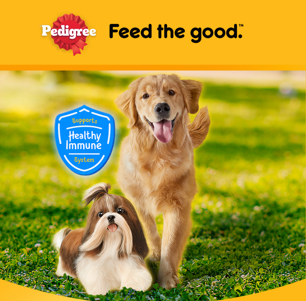Mô tả Thức Ăn Dạng Hạt Khô Cho Chó Lớn PEDIGREE Vị Bò Và Rau Củ, 500g - 1