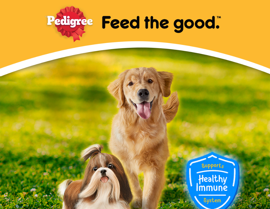 Bộ 12 Túi Thức Ăn Dạng Sốt Cho Chó Lớn PEDIGREE Mix 2 Vị