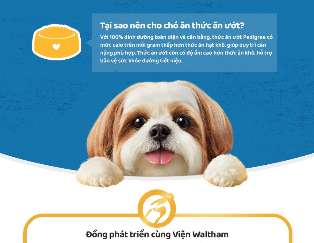 Mô tả Bộ 12 Túi Thức Ăn Dạng Sốt Cho Chó Lớn PEDIGREE Mix 2 Vị 80G - 3