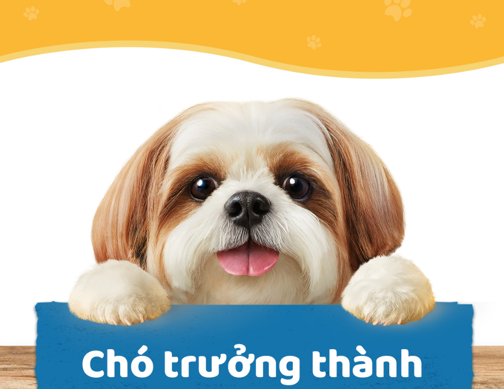 Mô tả Bộ 12 Túi Thức Ăn Dạng Sốt Cho Chó Lớn PEDIGREE Mix 2 Vị 80G - 8