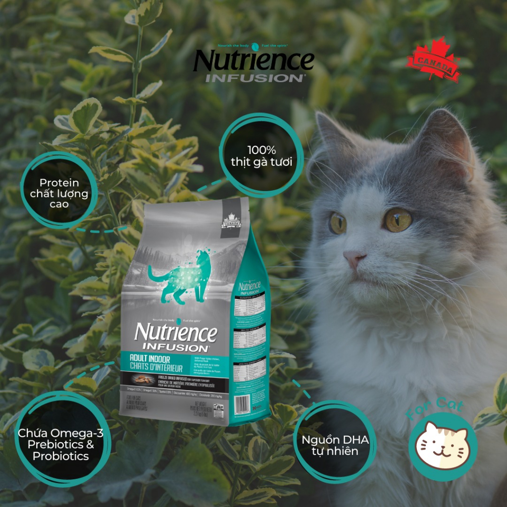 Mô tả Thức ăn cho mèo trưởng thành Nutrience Infusion Adult Indoor  - thịt gà và rau củ quả 2.27kg - 2