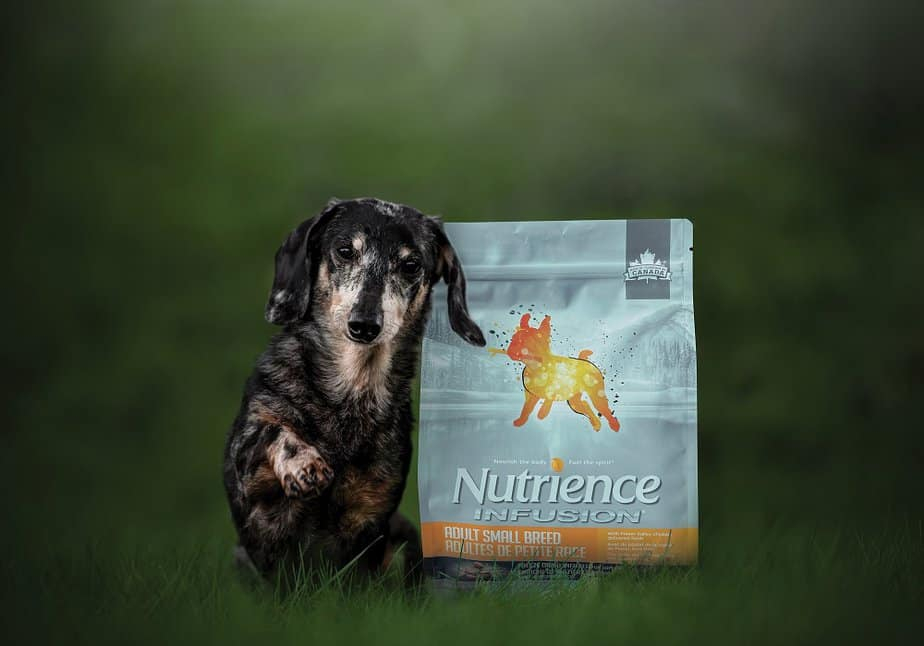 Mô tả Thức ăn cho chó nhỏ Nutrience Infusion Adult Small Breed - thịt gà và rau củ trái cây tự nhiên 500g - 3