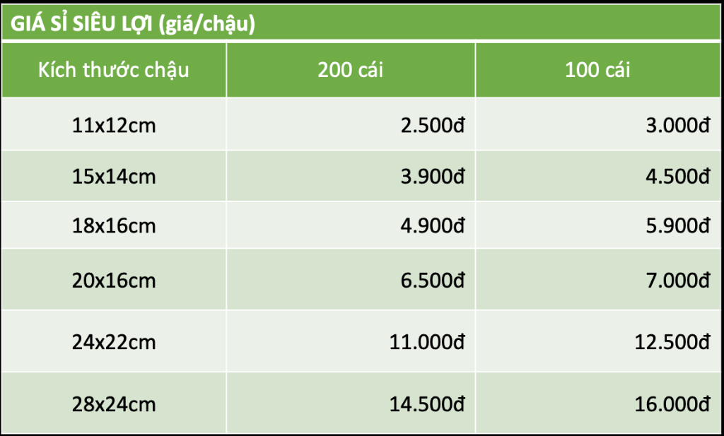 Chậu Trồng Cây Greenhome - Nhựa Cứng, Thoát Nước Tốt