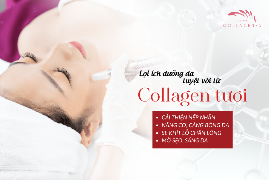 Mô tả Tinh chất collagen tươi Vieskin Collagen Gold Shine căng bóng da, làm đẹp, trẻ hoá da và chăm sóc môi sau phun xăm 7ml - 1
