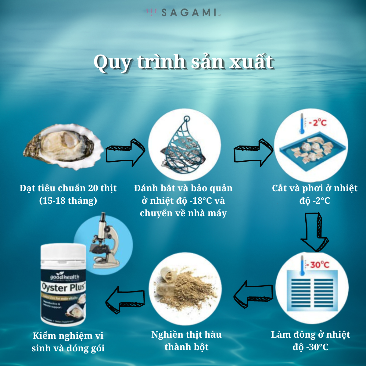 Mô tả Tinh chất hàu Goodhealth Oyster plus – tăng cường sinh lực – 01 hộp - 5