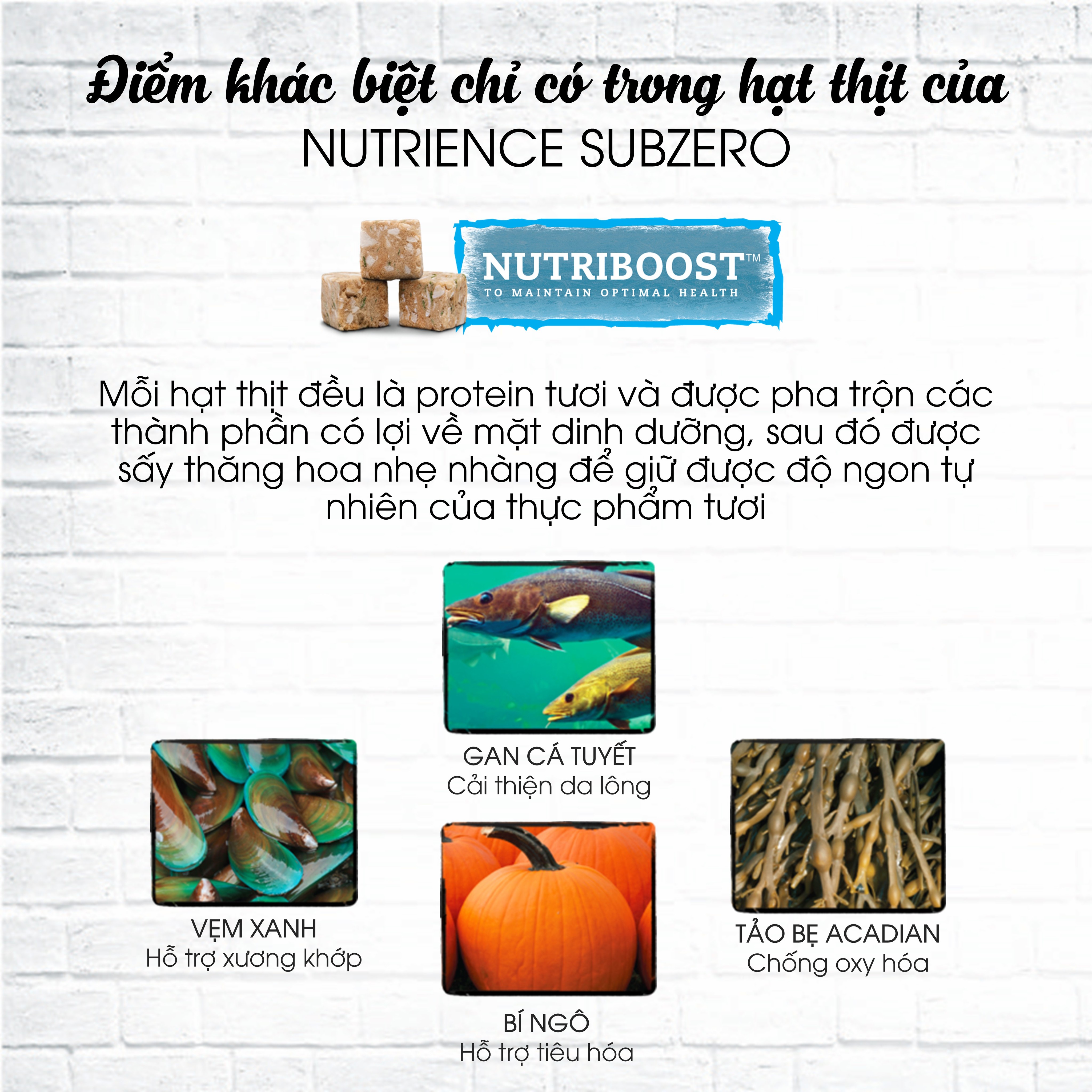 Hạt Cho Mèo Nutrience Subzero Grain-free Gà Tây Cá biển