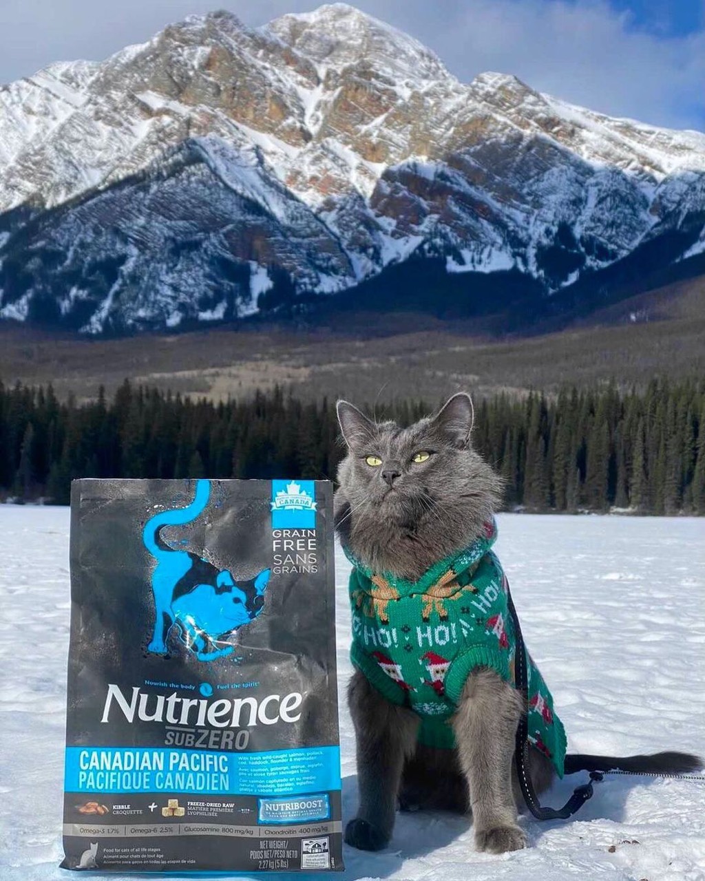 Mô tả Hạt cho mèo Nutrience Subzero Grain-free Canadian Pacific  - 6 loại cá biển và rau củ quả 2.27kg - 2