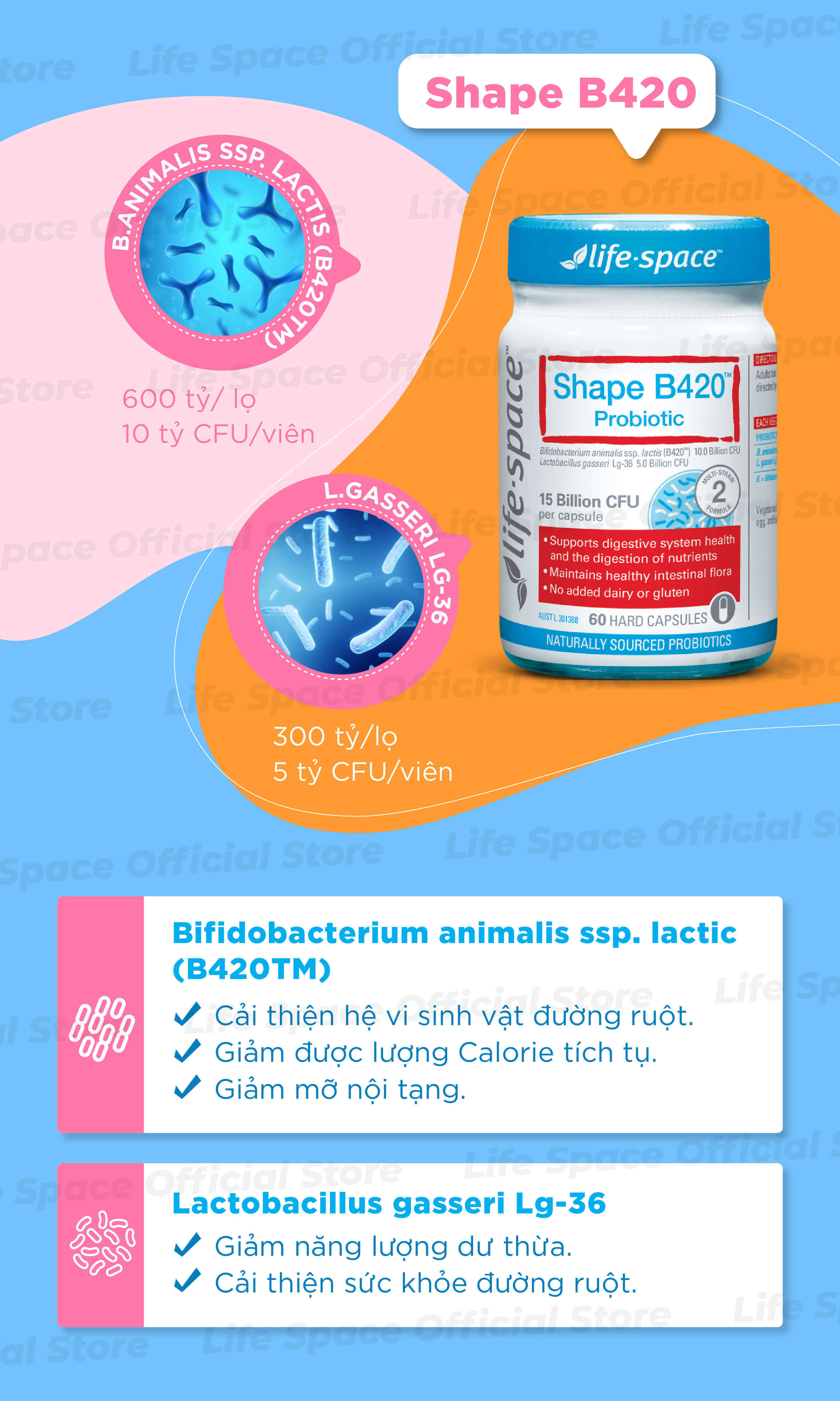 Mô tả Men vi sinh hỗ trợ tiêu hóa và hỗ trợ hệ vi sinh đường ruột khỏe mạnh Life Space Shape B420 Probiotic lọ 30 viên - 2