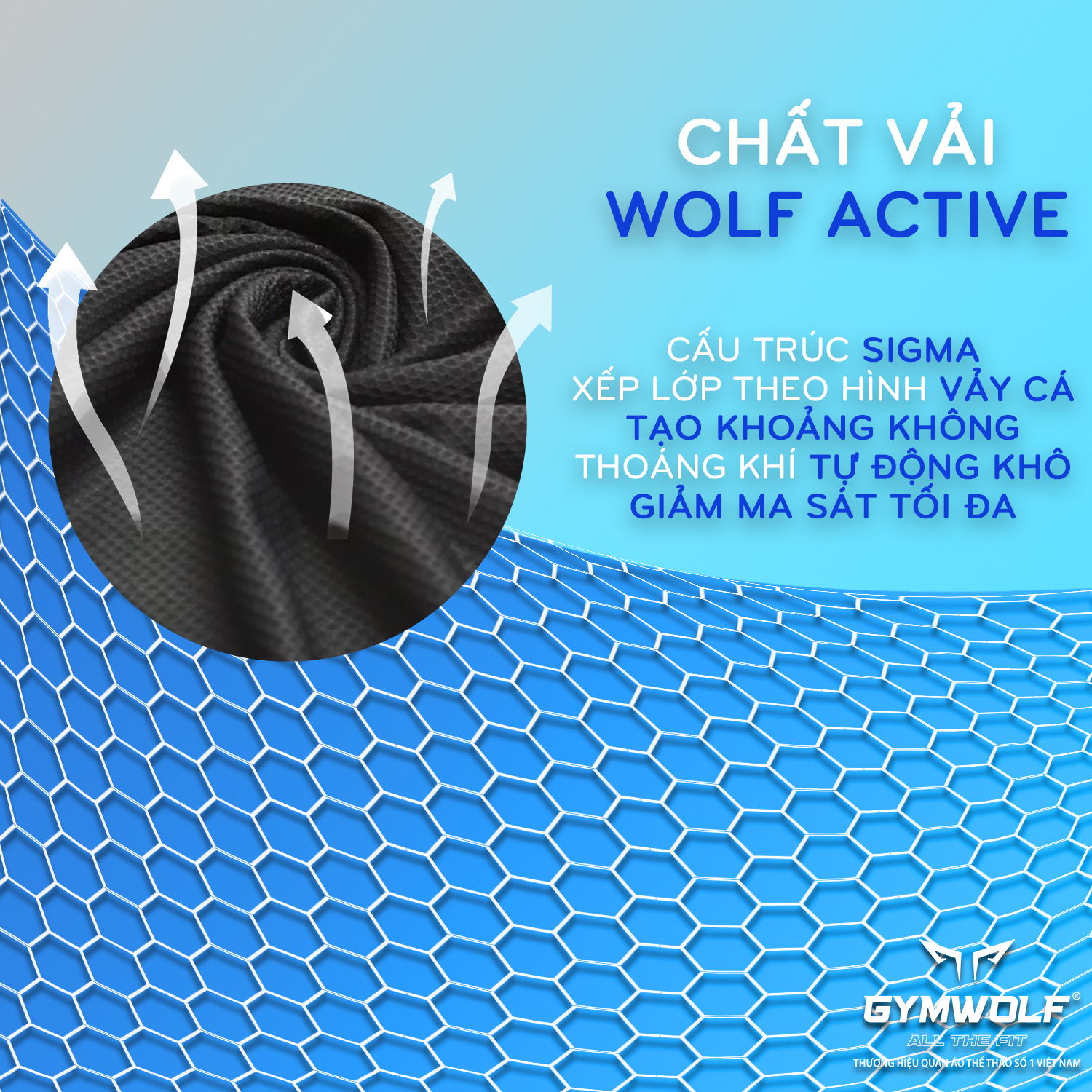Áo SG Dynamic Gymwolf màu xanh gradience