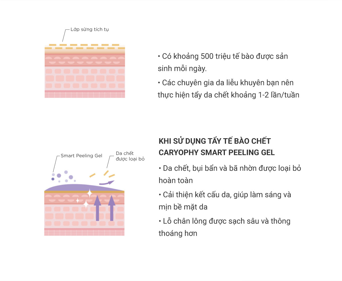 Mô tả Gel tẩy tế bào chết da ngăn ngừa mụn Caryophy Smart Peeling Gel 250ml - 4