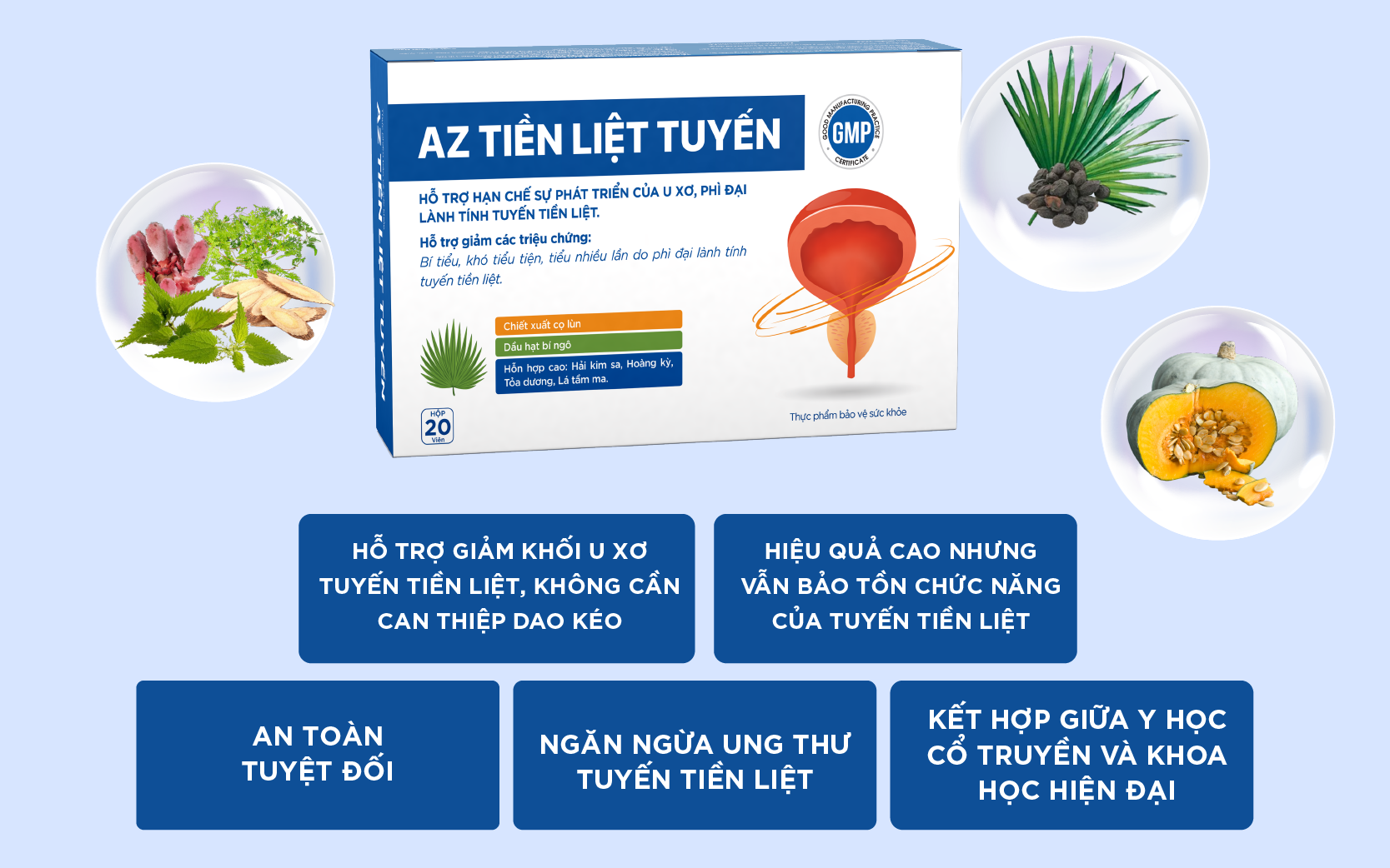 Mô tả Viên Uống Hỗ Trợ U Xơ Tuyến Tiền Liệt, Tiểu Khó, Tiều Đêm, Tiểu Nhiều Lần ở nam giới - Zlove - 2