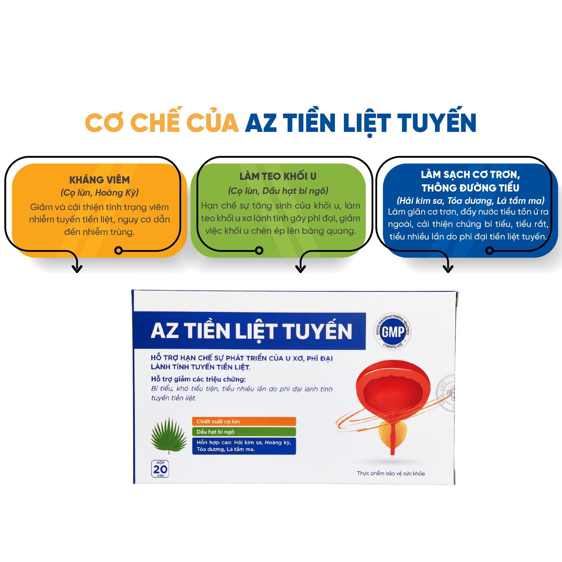 Mô tả Viên Uống Hỗ Trợ U Xơ Tuyến Tiền Liệt, Tiểu Khó, Tiều Đêm, Tiểu Nhiều Lần ở nam giới - Zlove - 6