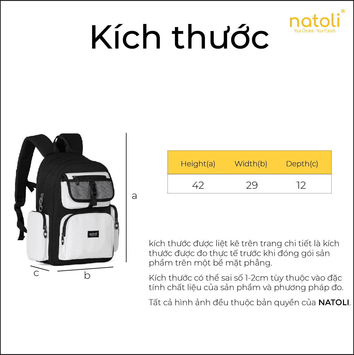 Balo NATOLI ICON BACKPACK B13 - Kích thước và ngăn chứa