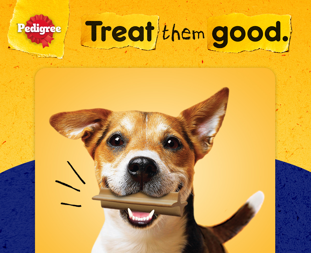 Mô tả Bánh Xương Chăm Sóc Răng cho Chó Trung PEDIGREE Dentastix (3 Túi, 98g) - 1