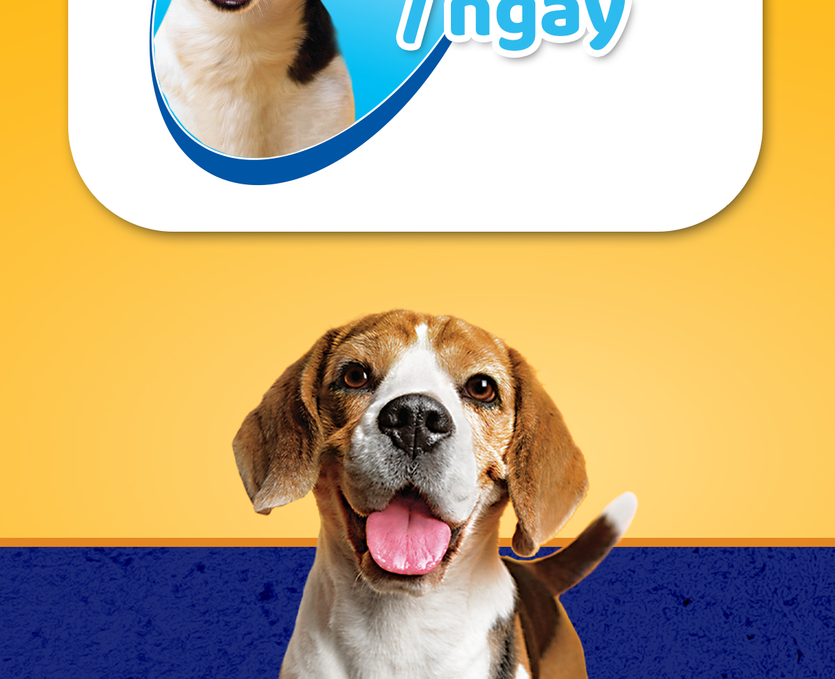 Mô tả Bánh Xương Chăm Sóc Răng cho Chó Trung PEDIGREE Dentastix (3 Túi, 98g) - 6