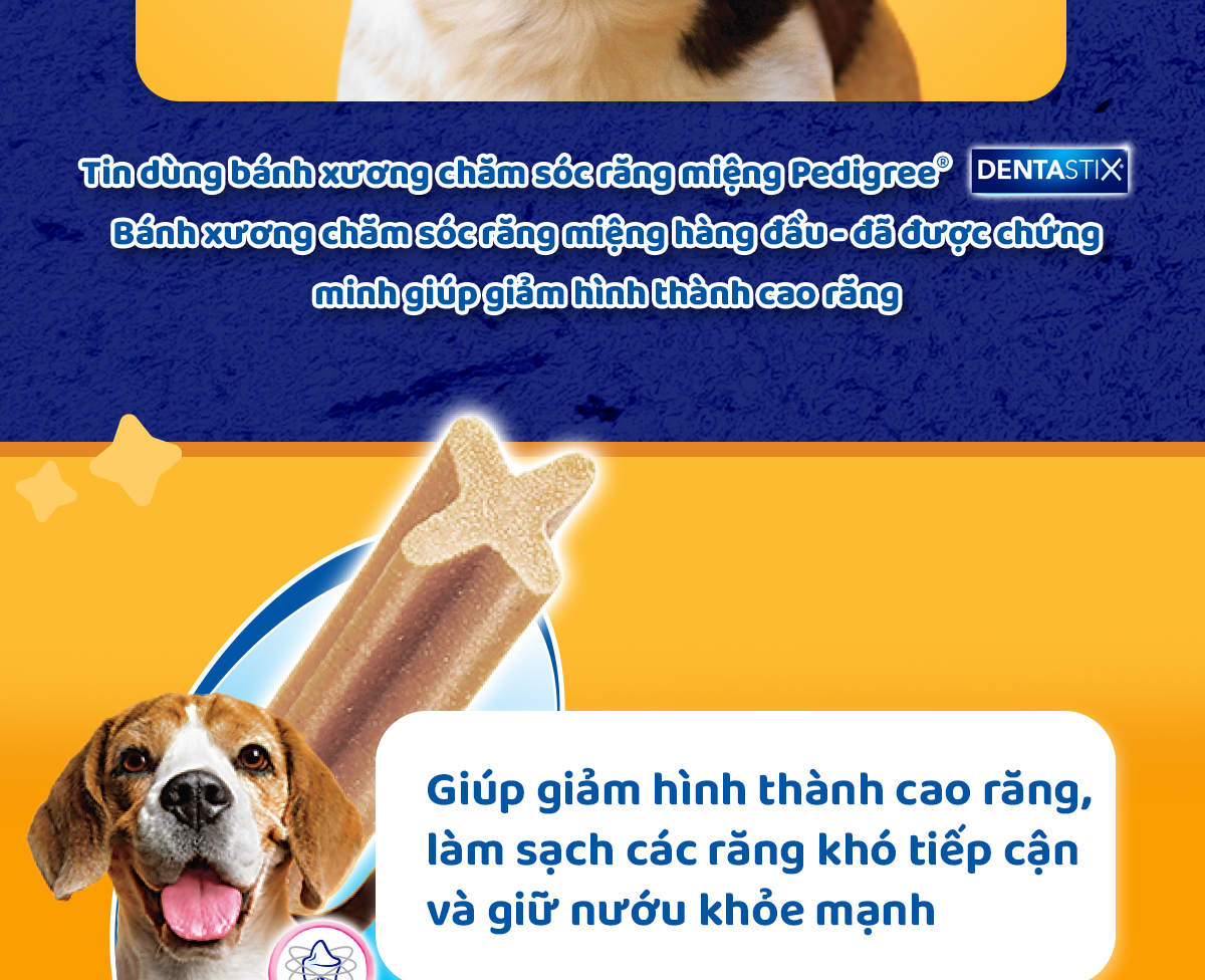 Mô tả Bánh Xương Chăm Sóc Răng cho Chó Trung PEDIGREE Dentastix (3 Túi, 98g) - 2