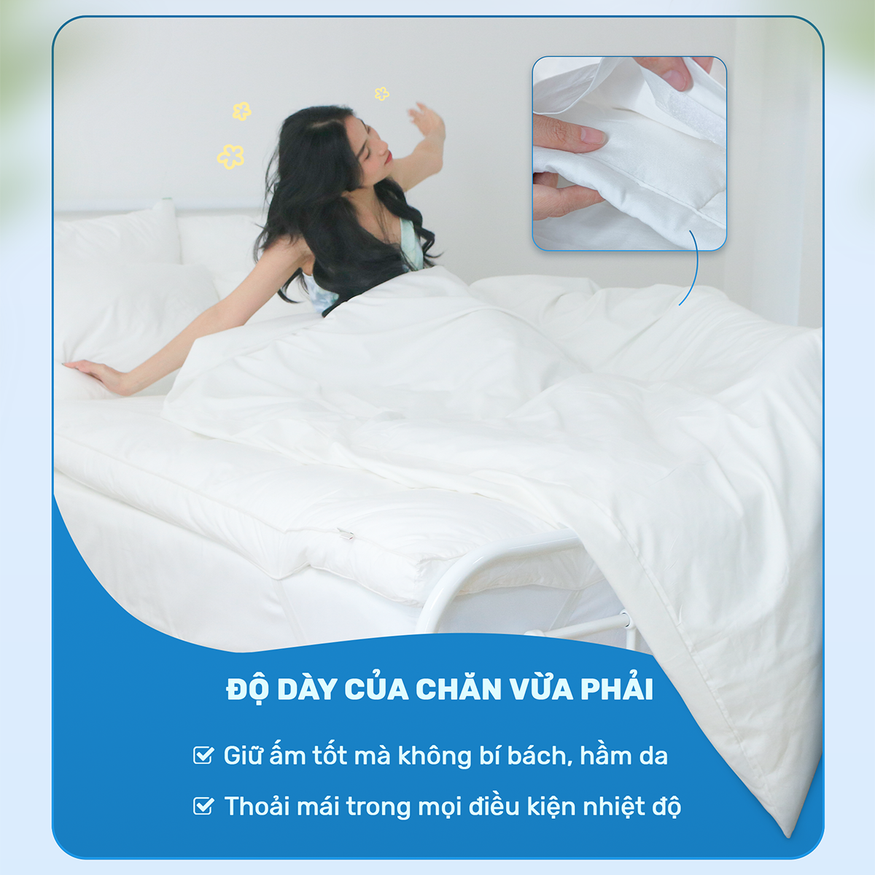 Ruột chăn CHUMY mềm mại