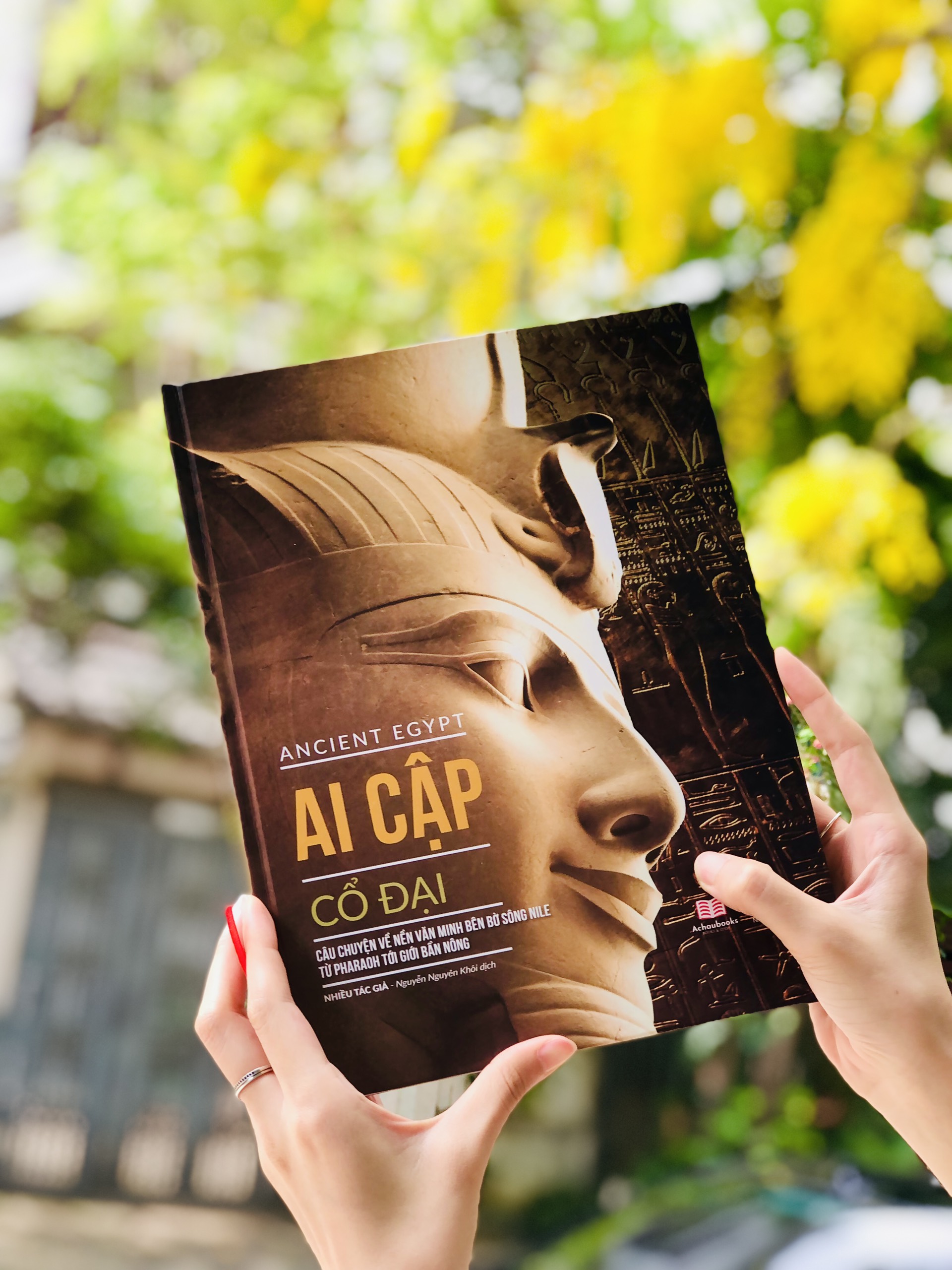 Sách Ai Cập Cổ Đại - Ancient Egypt Bìa Cứng