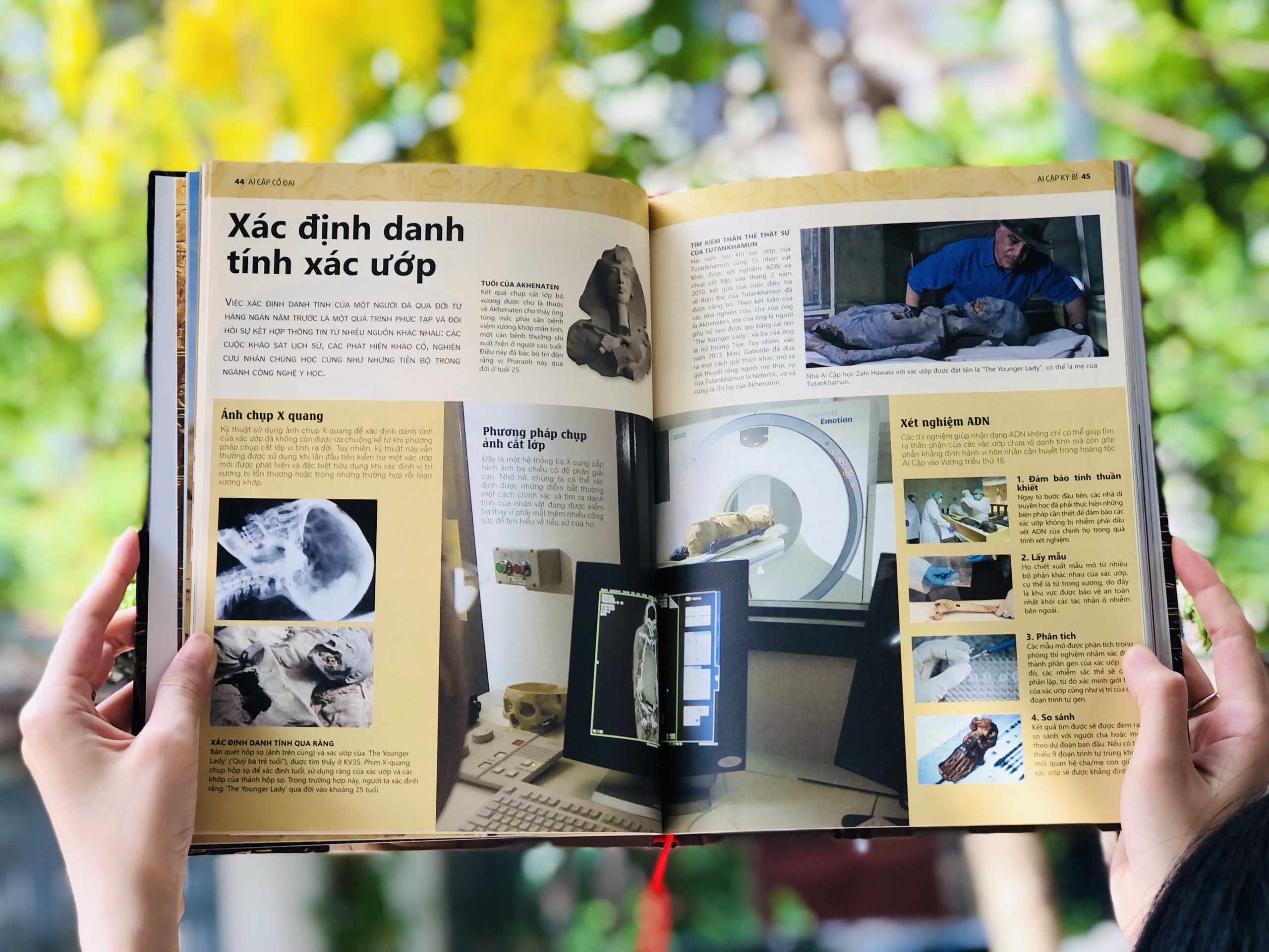 Ảnh hưởng Ai Cập cổ đại