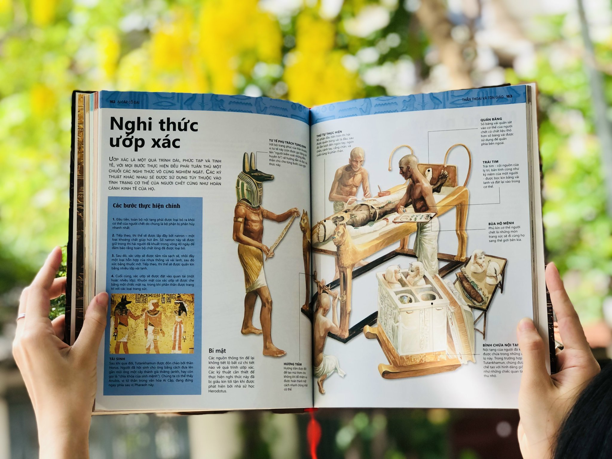 Sông Nile và Ai Cập