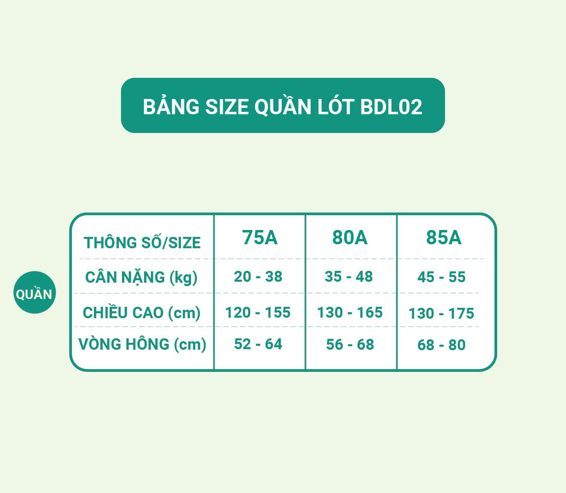 Mô tả Combo 2 quần lót sợi sồi cao cấp mềm mịn Cool Bear PC109 - 1