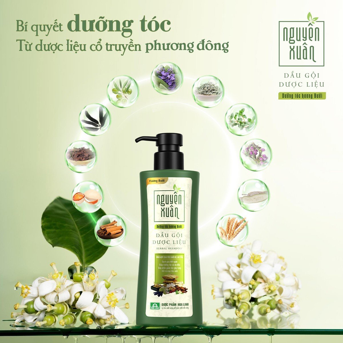 Mô tả Dầu gội dược liệu Nguyên Xuân Dưỡng tóc Hương bưởi 450ml -Tặng thêm 50ml giá không đổi - 2