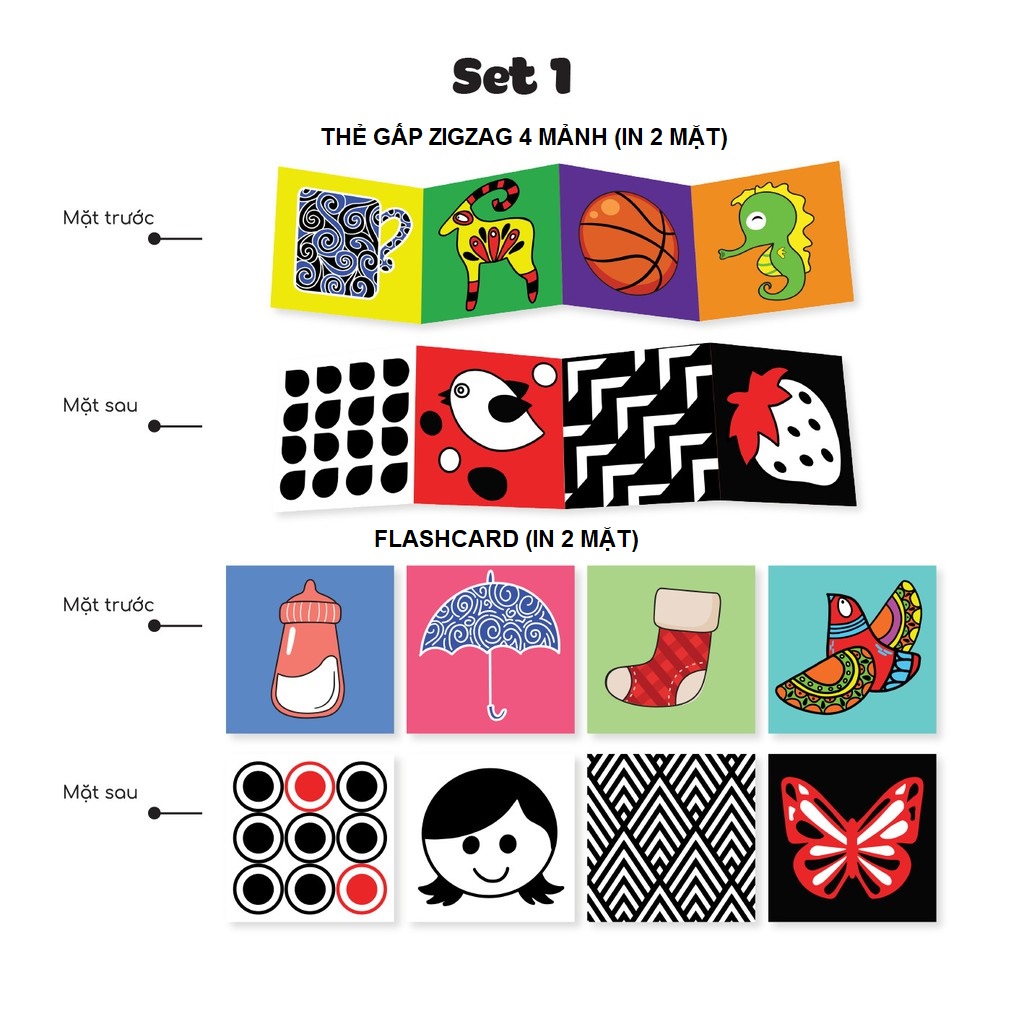 Bộ thẻ Zigzag và Flashcard SET 2
