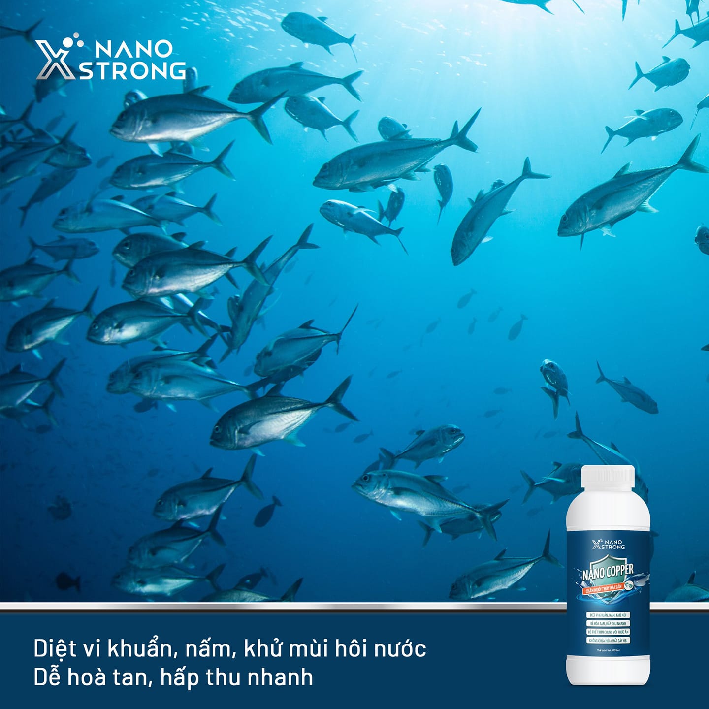 Mô tả Nano đồng (nano copper) Nano Xstrong xử lý tảo, khử mùi nước, diệt khuẩn, nấm đồng tiền, giúp tôm lột xác 1000ML - 1