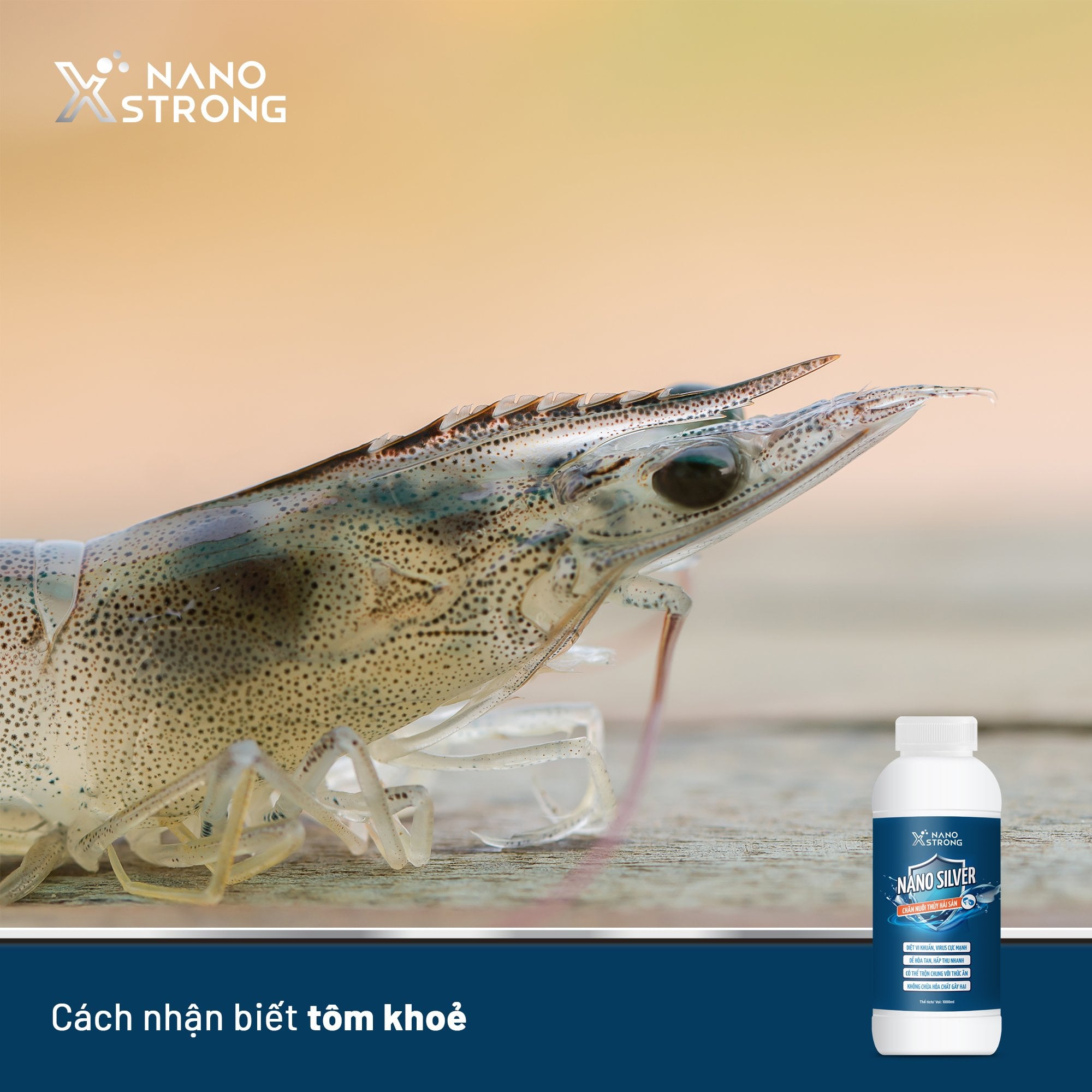 Mô tả Nano bạc (nano silver) Nano Xstrong - xử lý nấm cho cá cảnh, làm trong nước bể cá, ao nuôi, khử mùi hôi tanh 1000ml - 1