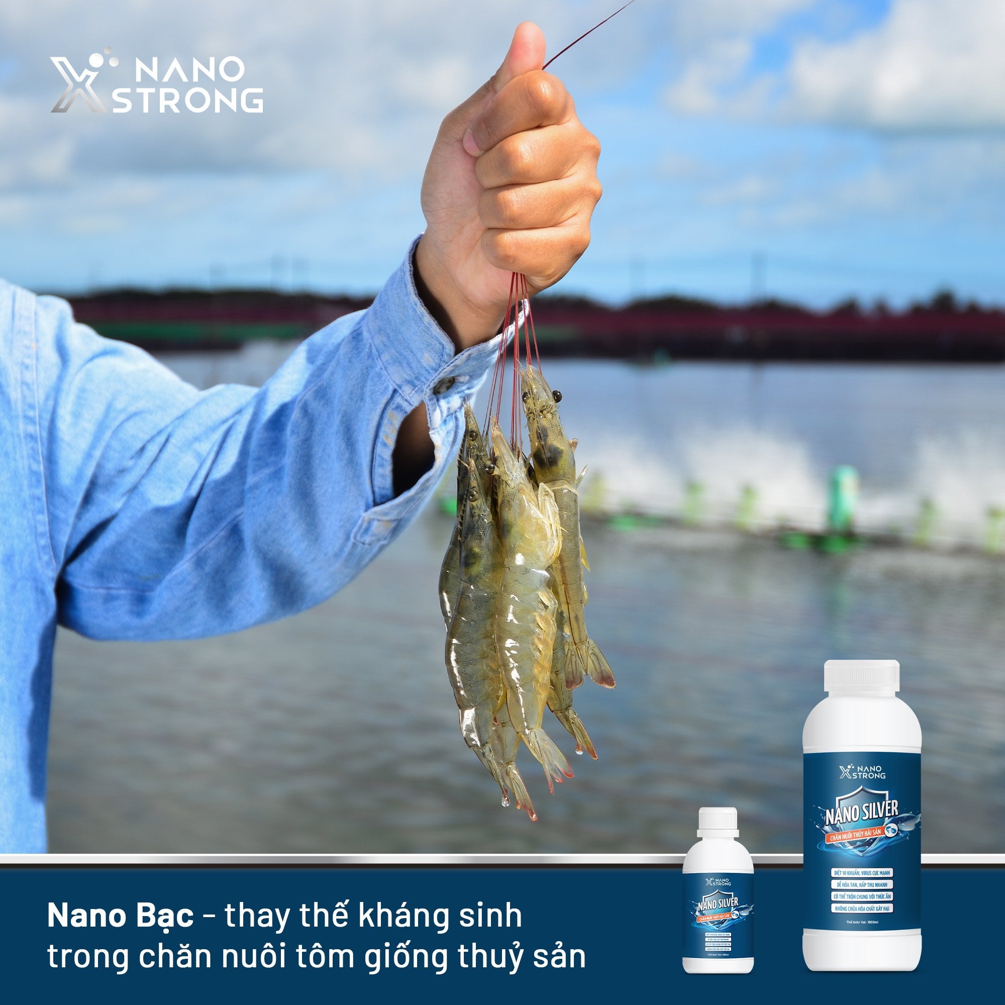 Mô tả Nano bạc (nano silver) Nano Xstrong - xử lý nấm cho cá cảnh, làm trong nước bể cá, ao nuôi, khử mùi hôi tanh 1000ml - 2