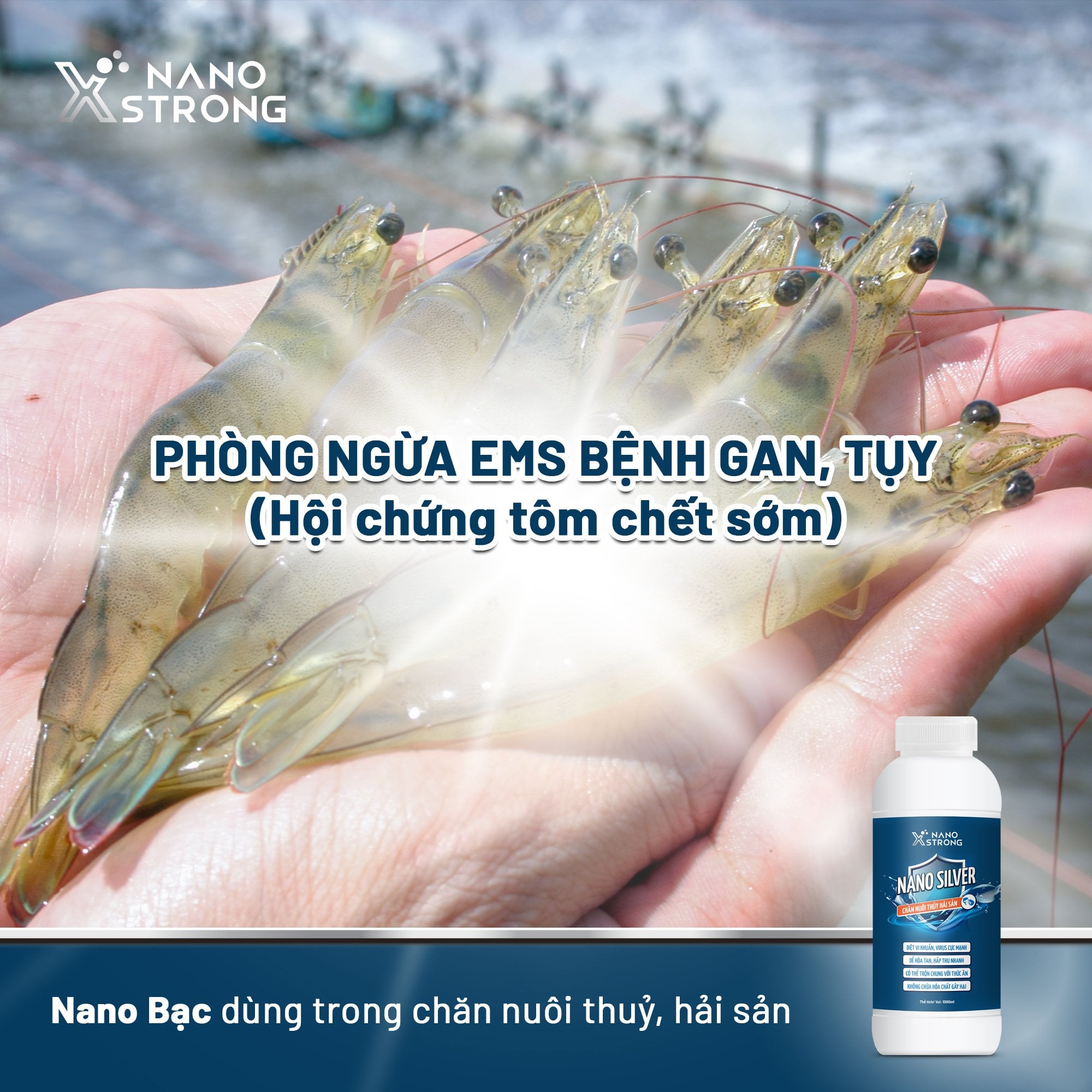 Mô tả Nano bạc (nano silver) Nano Xstrong - xử lý nấm cho cá cảnh, làm trong nước bể cá, ao nuôi, khử mùi hôi tanh 1000ml - 3