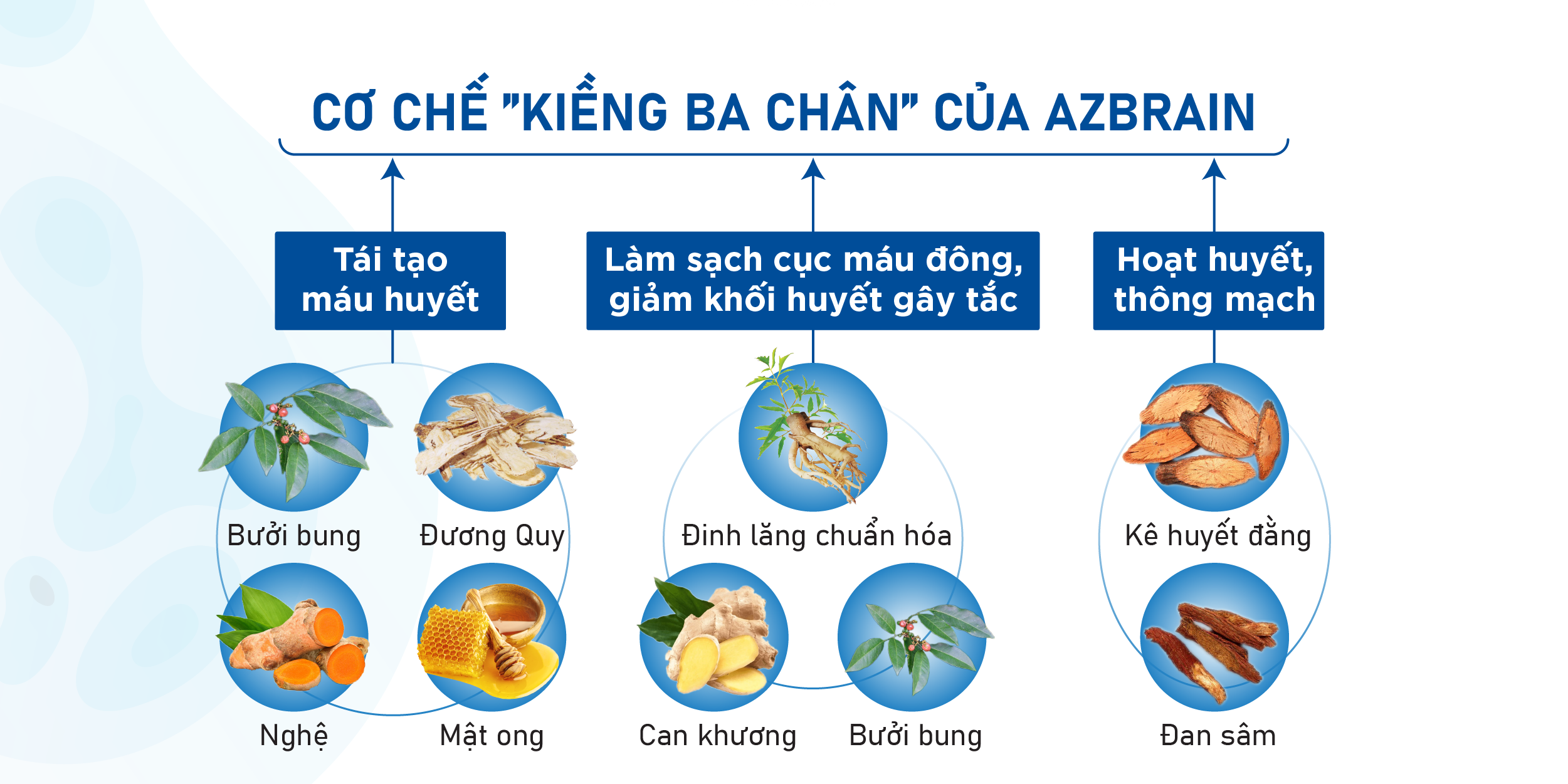 Mô tả AZBR-Viên Uống Bổ Não AZbrain tăng cường trí nhớ, giảm đau đầu, lưu thông máu não - Grow Green AZ(Hộp 20v) - 2