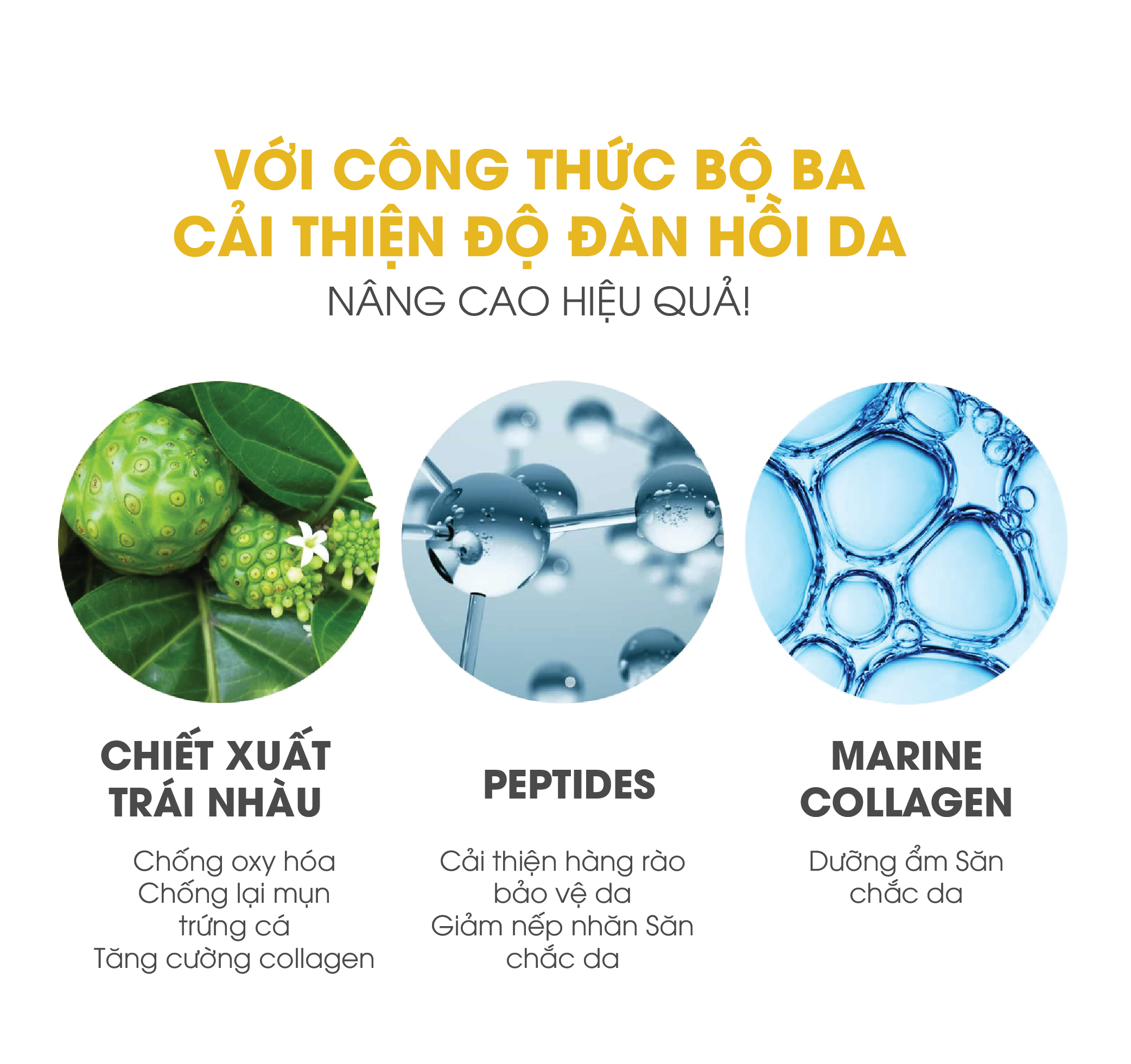 Mô tả Tinh Chất Vàng Tăng Đàn Hồi Chống Lão Hóa AMPLE:N 24K Gold Shot Ampoule - 5