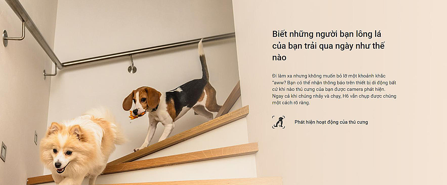 Camera wifi trong nhà Ezviz H6 3K 5mp, quay quét 360 độ, đàm thoại 2 chiều,  quay màu ban đêm với công nghệ starlight | Shopee Việt Nam