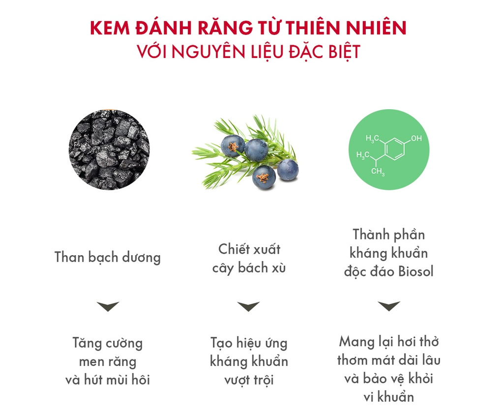 Mô tả Kem đánh răng than hoạt tính trăng răng SPLAT Blackwood không chứa flo, ngừa hôi miệng, loại bỏ mảng bám, khỏe nướu 75ml - 4